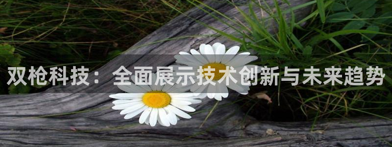 双枪科技：全面展示技术创新与未来趋势