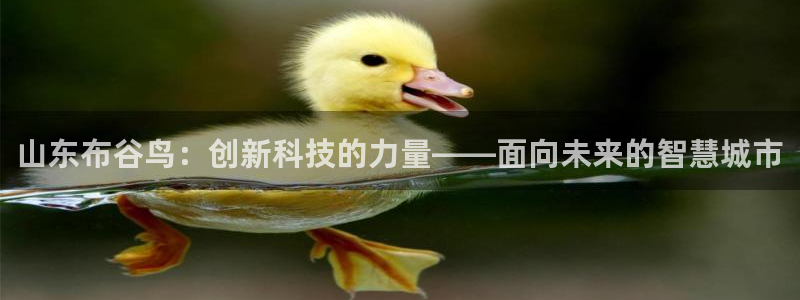 山东布谷鸟：创新科技的力量——面向未来的智慧城市