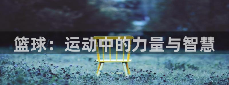 篮球：运动中的力量与智慧