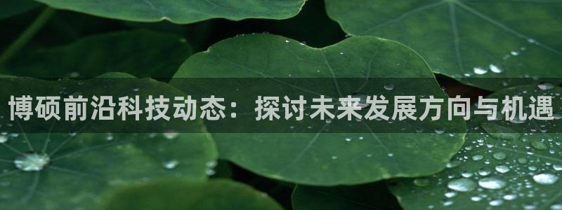 博硕前沿科技动态：探讨未来发展方向与机遇