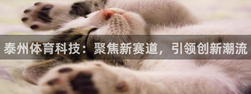 泰州体育科技：聚焦新赛道，引领创新潮流