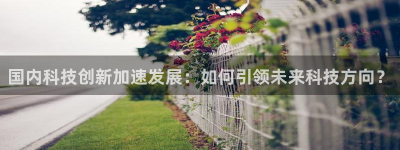 国内科技创新加速发展：如何引领未来科技方向？