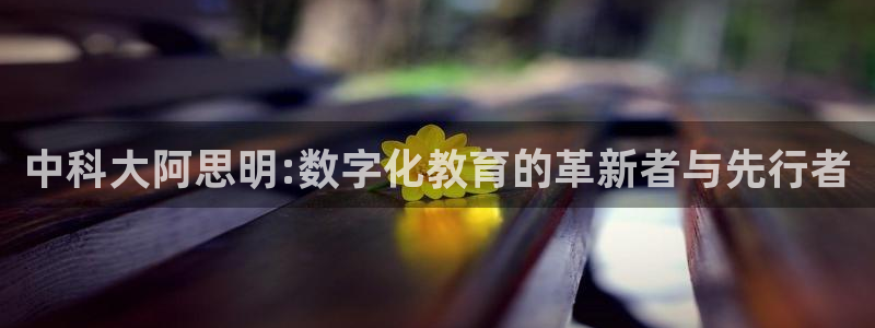 中科大阿思明:数字化教育的革新者与先行者