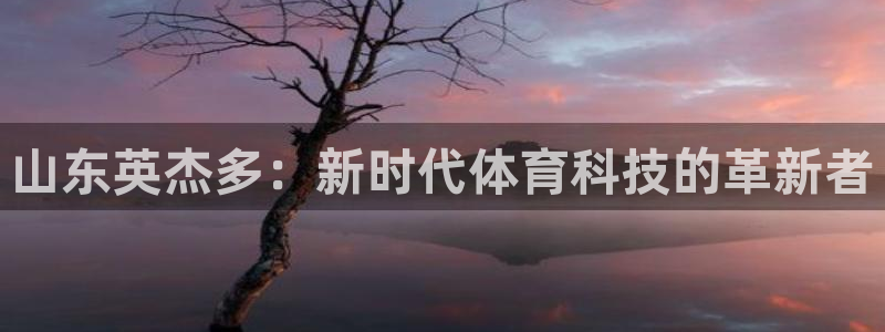 山东英杰多：新时代体育科技的革新者