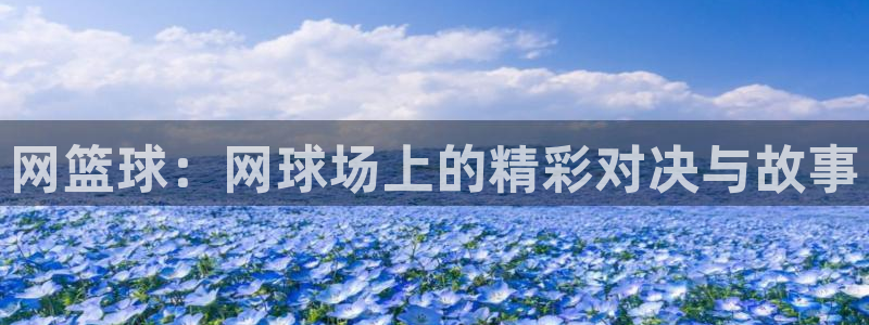 网篮球：网球场上的精彩对决与故事