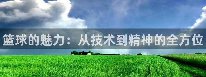 篮球的魅力：从技术到精神的全方位