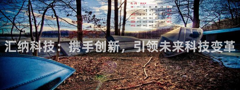 汇纳科技：携手创新，引领未来科技变革