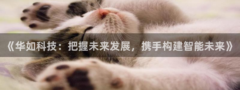 《华如科技：把握未来发展，携手构建智能未来》