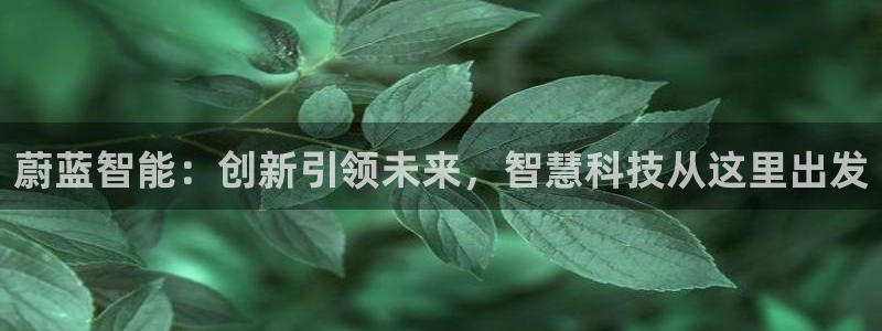蔚蓝智能：创新引领未来，智慧科技从这里出发