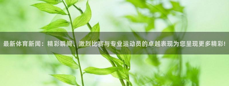最新体育新闻：精彩瞬间、激烈比赛与专业运动员的卓越表现为您呈现更多精彩!