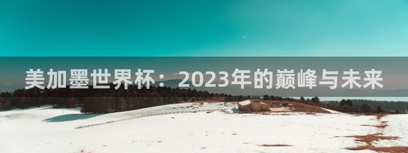 美加墨世界杯：2023年的巅峰与未来