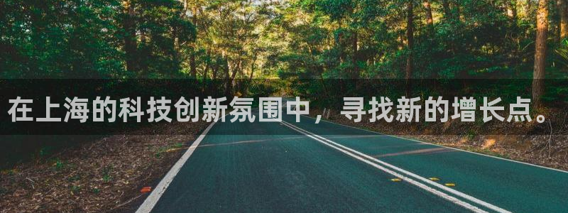 在上海的科技创新氛围中，寻找新的增长点。